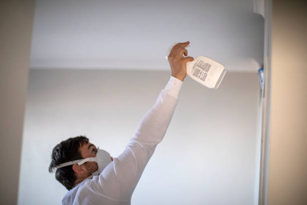 Trusted Willow, AK Mold Removal Experts