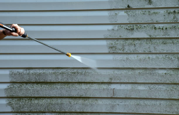 Home Mold Removal in Willow, AK